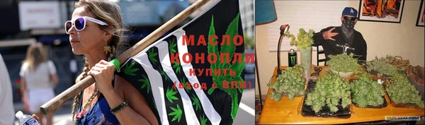 шишки Сатка