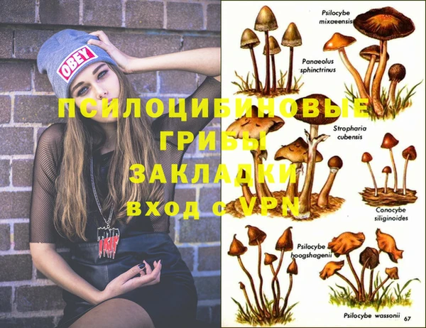 героин Пестово