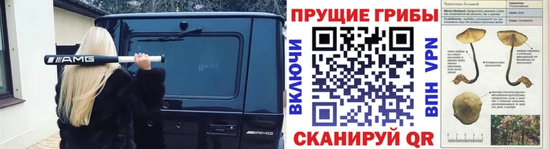 blacksprut зеркало  Байкальск  Галлюциногенные грибы Psilocybe 